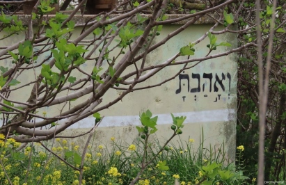 צילום: יערה ויקסלבאום שטהל