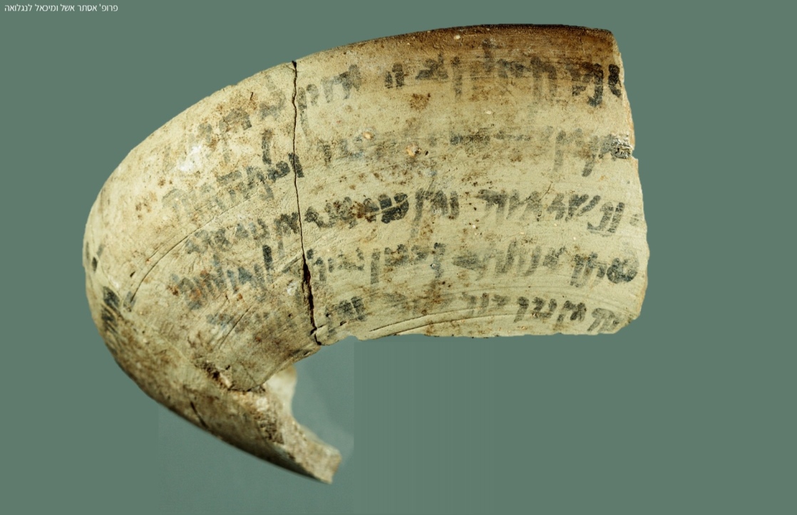 צילום פרופ' אסתר אשל, אוני' בר אילן ומיכאל לנגלואה, אוני' שטרסבורג