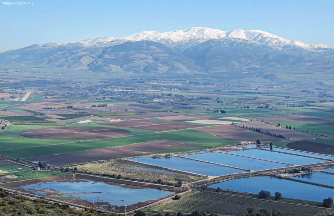 צילום: יערה ויקסלבאום שטהל