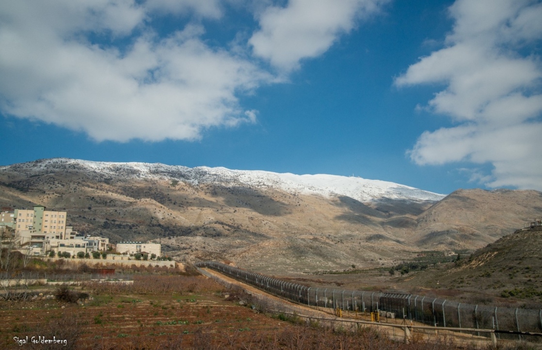 לבנון 2025. סיגל גולדמברג