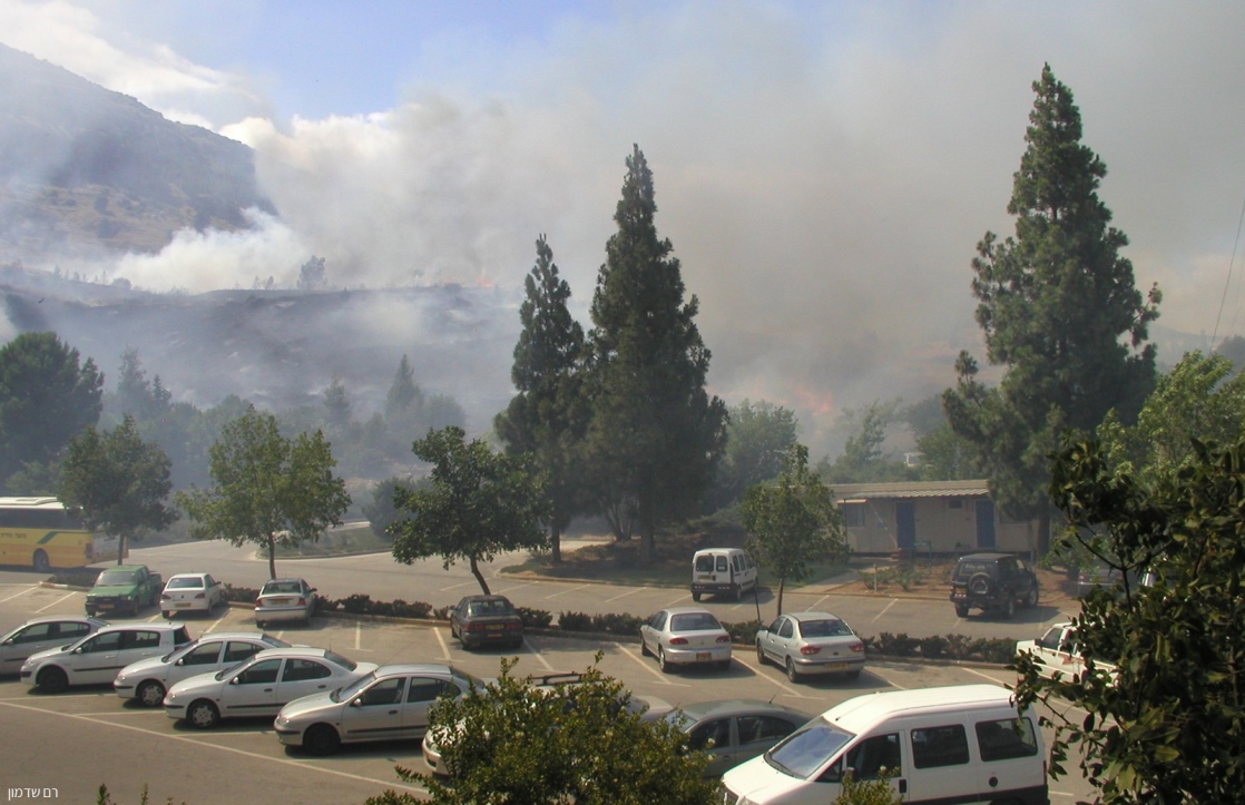 צילום: רם שדמון