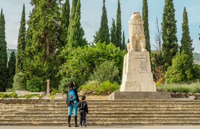צילום: שחר גולן